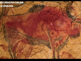 archaeology photo color scale online