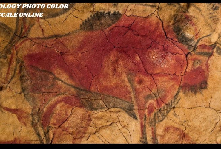 archaeology photo color scale online