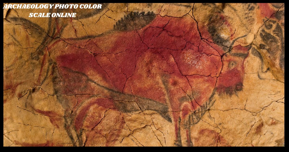 archaeology photo color scale online